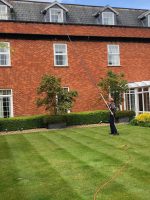 window cleaners for businesses
