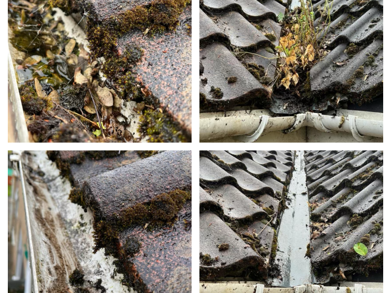 residential gutter cleaning Southampton