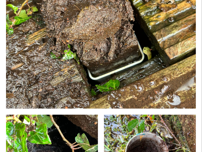 gutter clearance near me