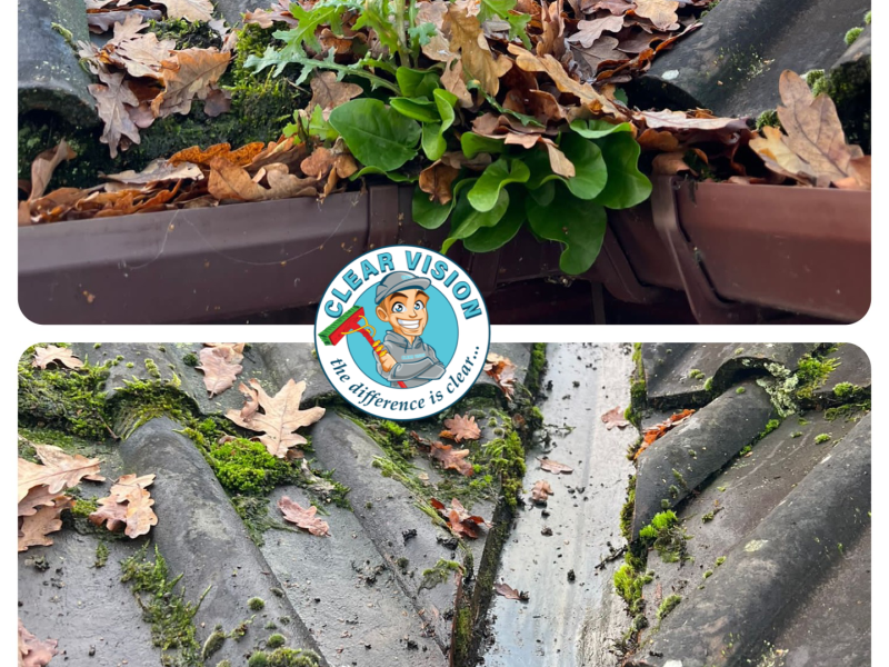 roof gutter cleaning Southampton