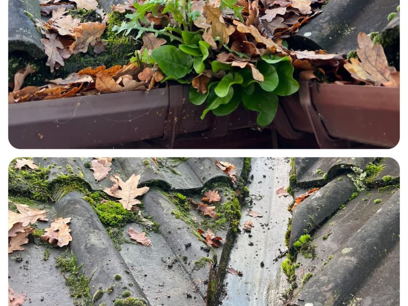 Gutter Clearance Residential