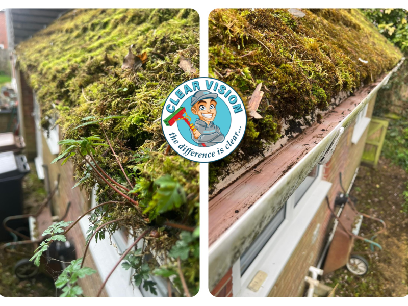 Gutter Clearance Residential