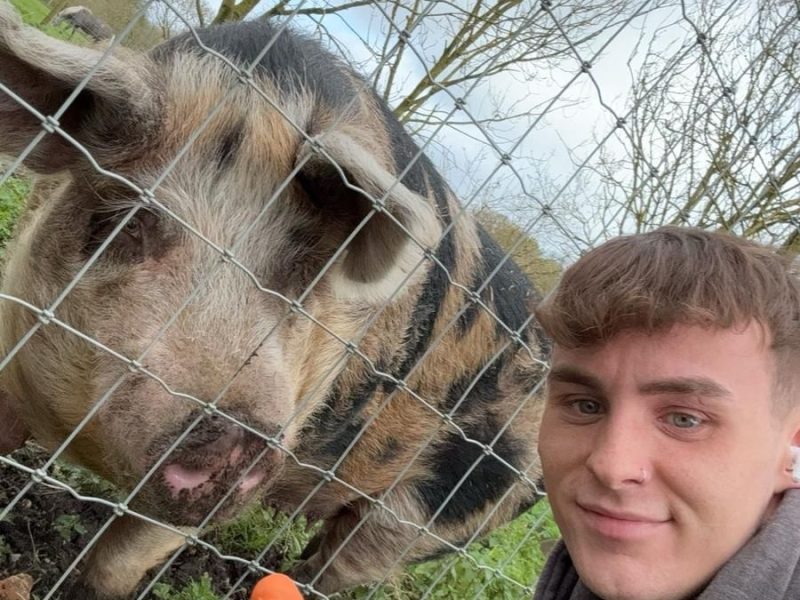 Jet Washing or Soft Washing