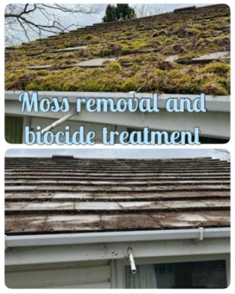 The Benefits of Roof Cleaning