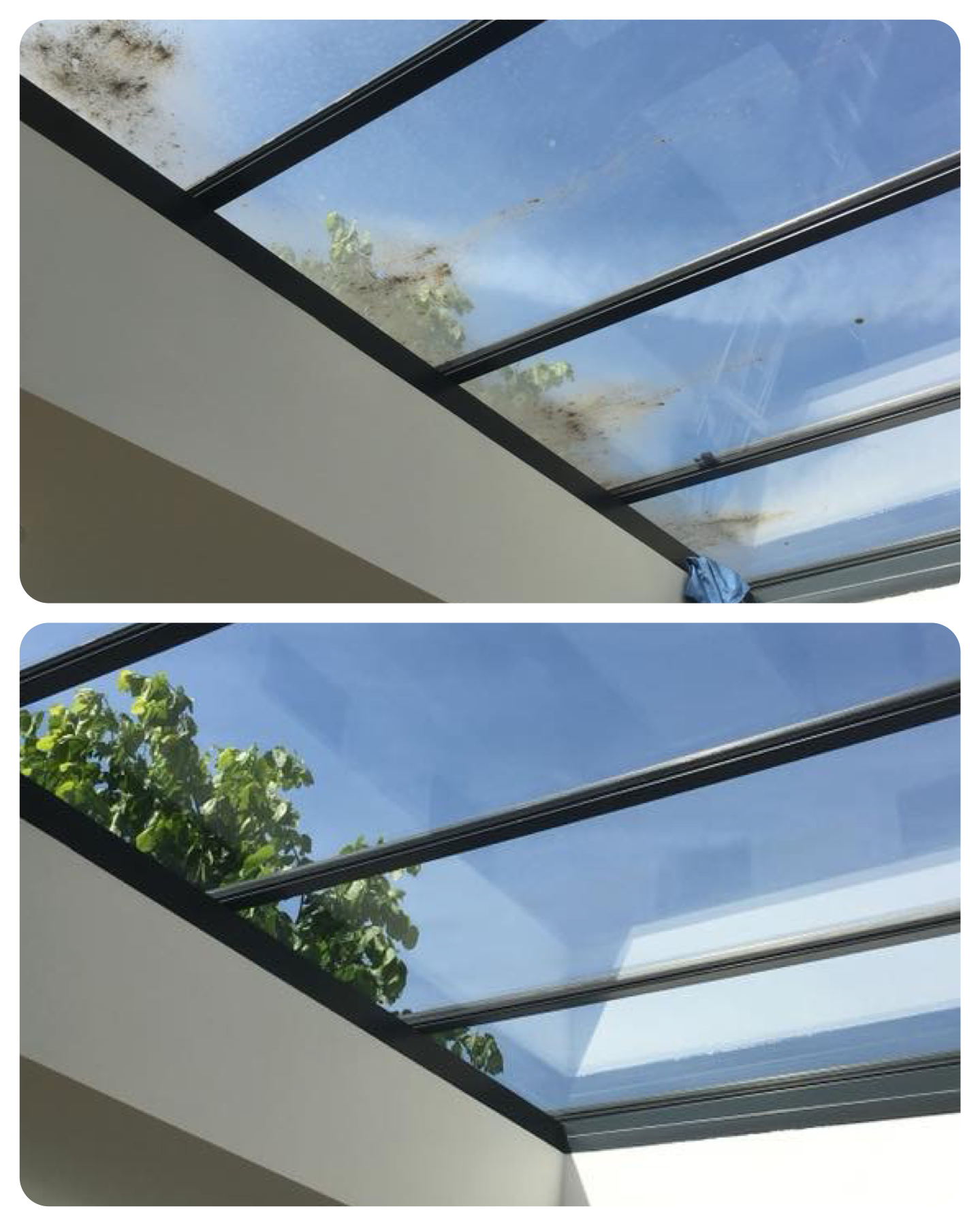 Conservatory Roof Cleaning