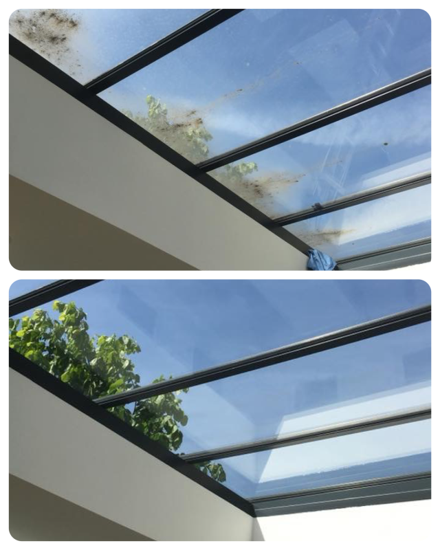 clear vision window cleaning benefits