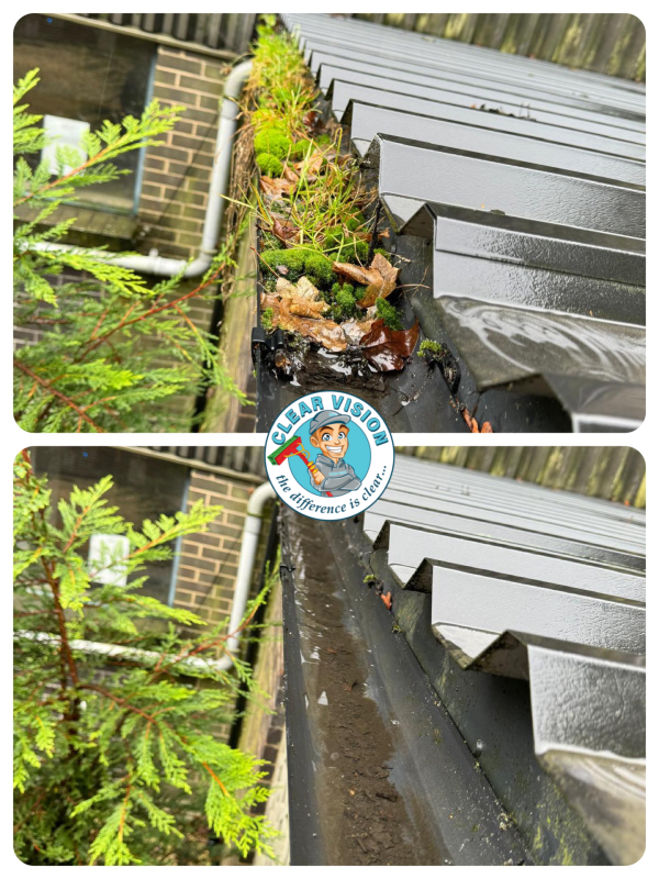 how to keep gutters clean