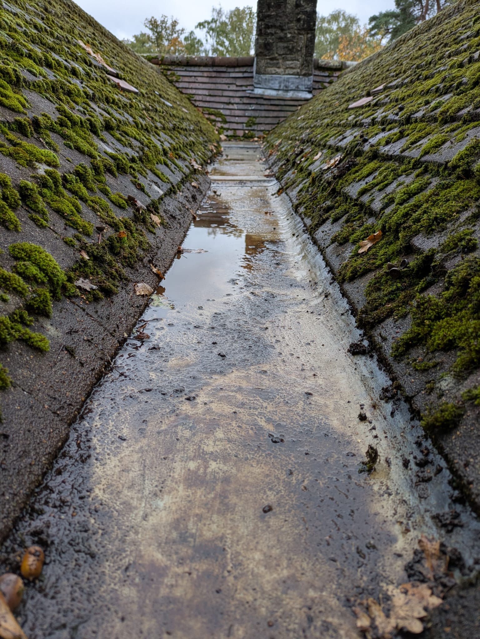 commercial gutter clearance southampton
