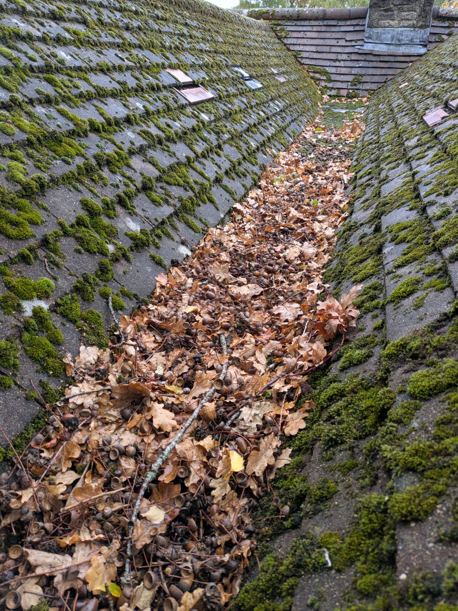 commercial gutter cleaners Southampton