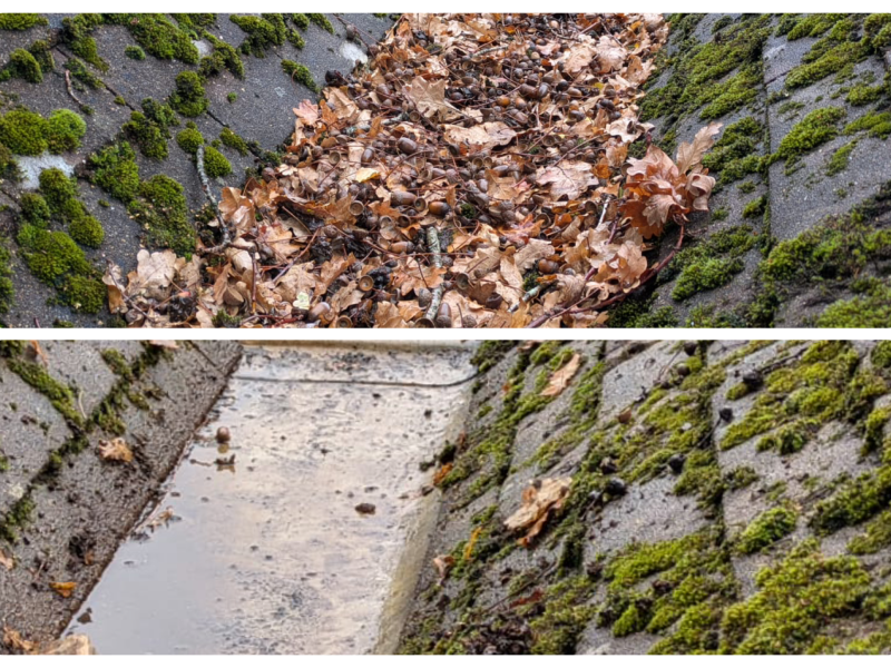 commercial gutter clearance southampton