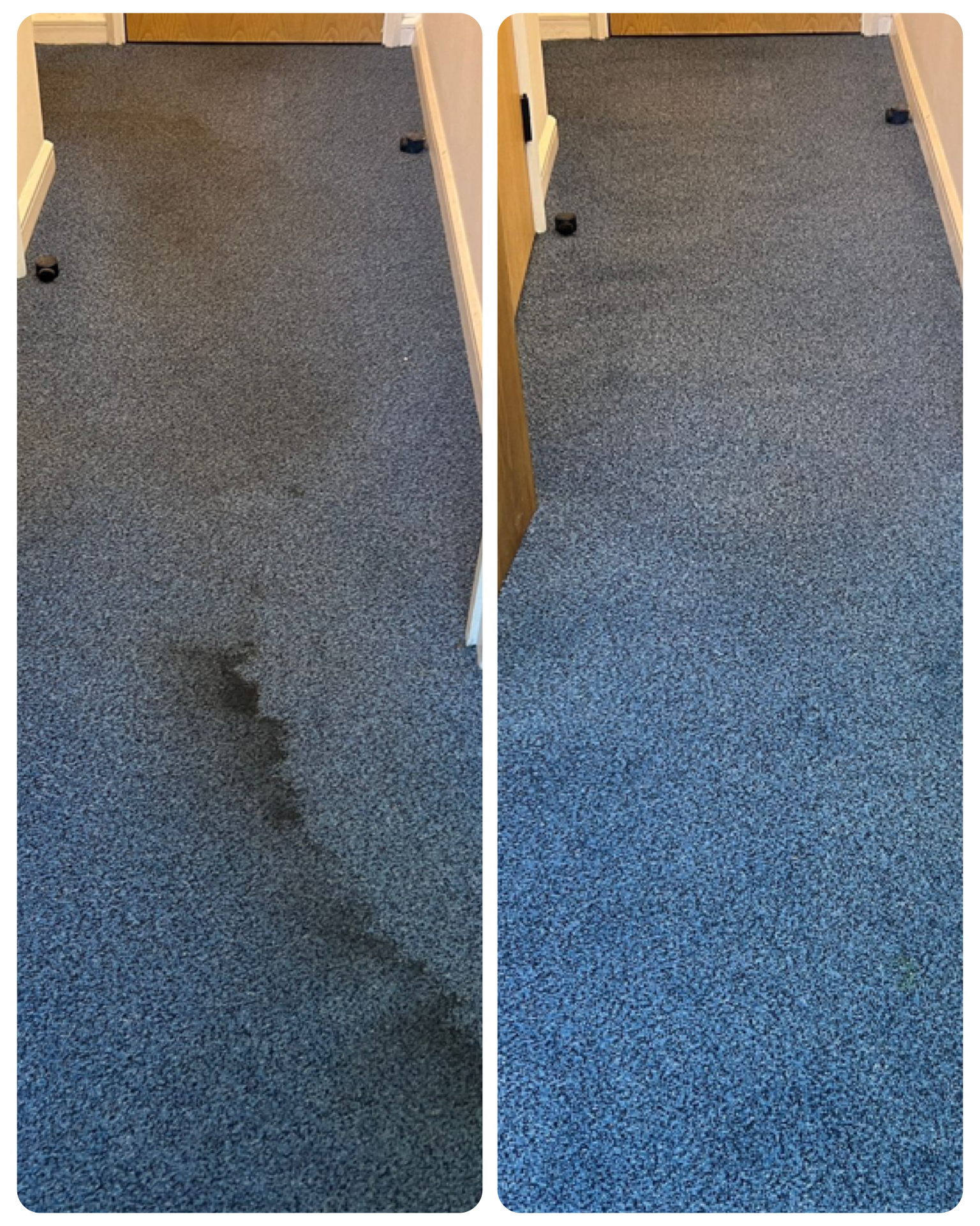 commercial carpet cleaning southampton quote